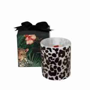 Candela Home